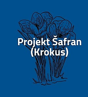 Projekt Krokus